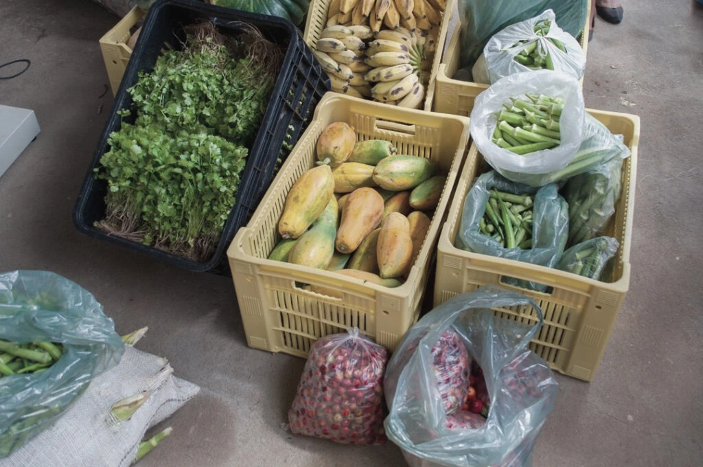 Alimentos da Agricultura Familiar - PAA